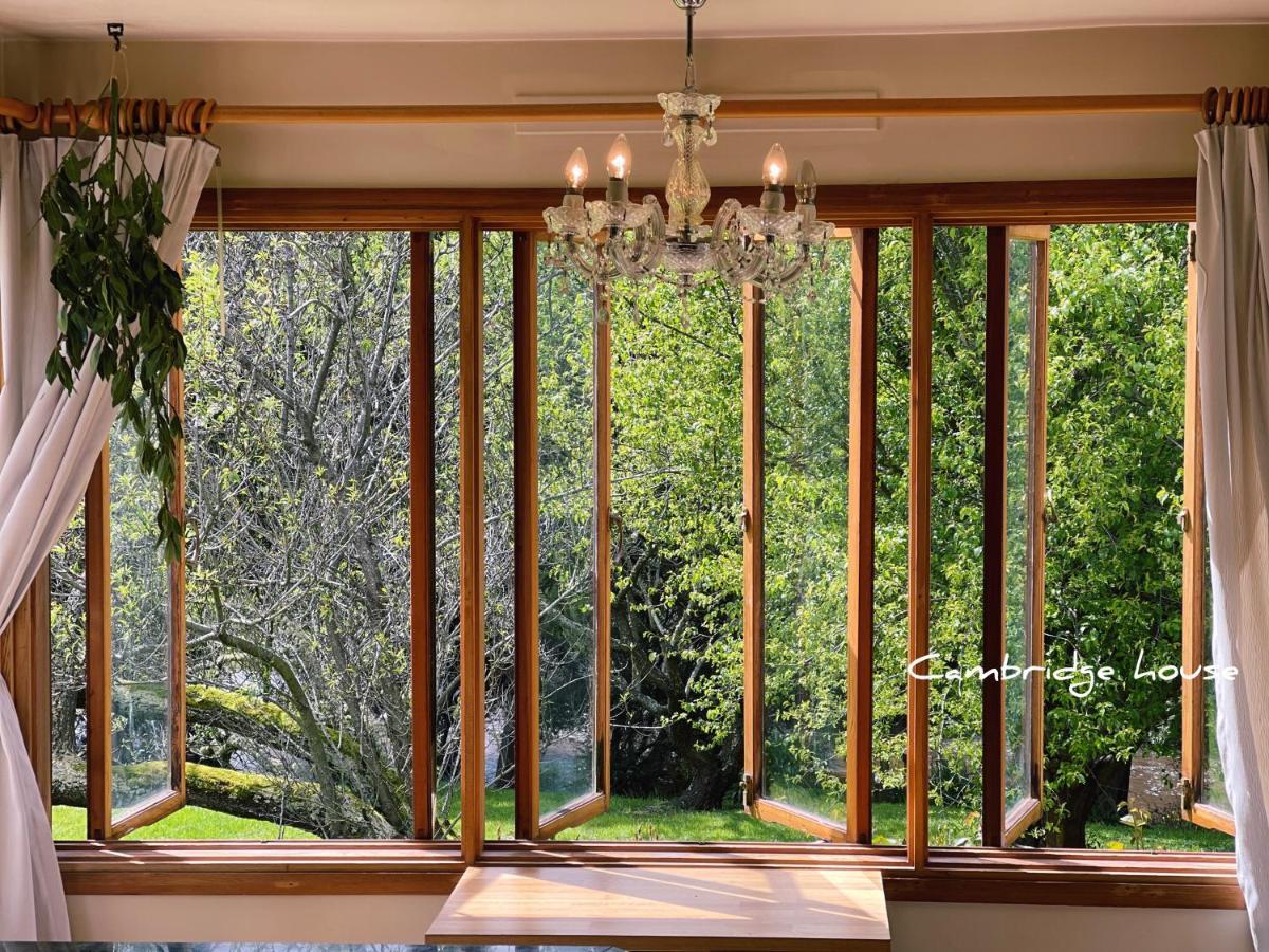 Cambridge House Breakfast & Bed Bed and Breakfast Geeveston Buitenkant foto