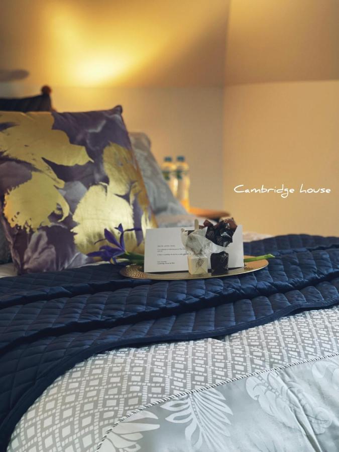 Cambridge House Breakfast & Bed Bed and Breakfast Geeveston Buitenkant foto