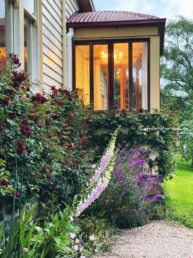 Cambridge House Breakfast & Bed Bed and Breakfast Geeveston Buitenkant foto