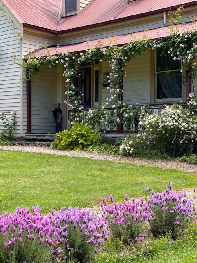 Cambridge House Breakfast & Bed Bed and Breakfast Geeveston Buitenkant foto