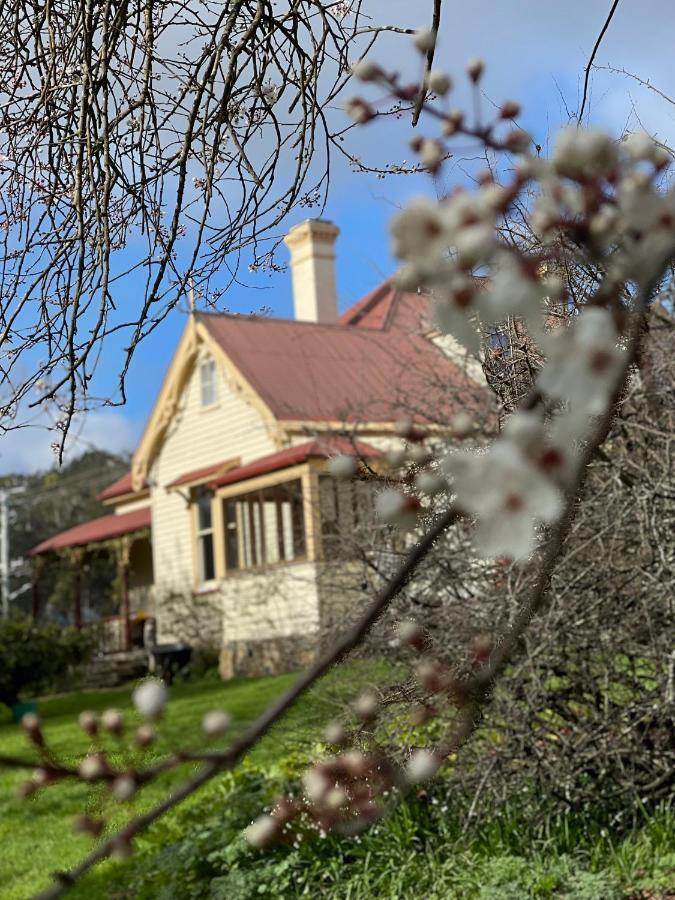 Cambridge House Breakfast & Bed Bed and Breakfast Geeveston Buitenkant foto
