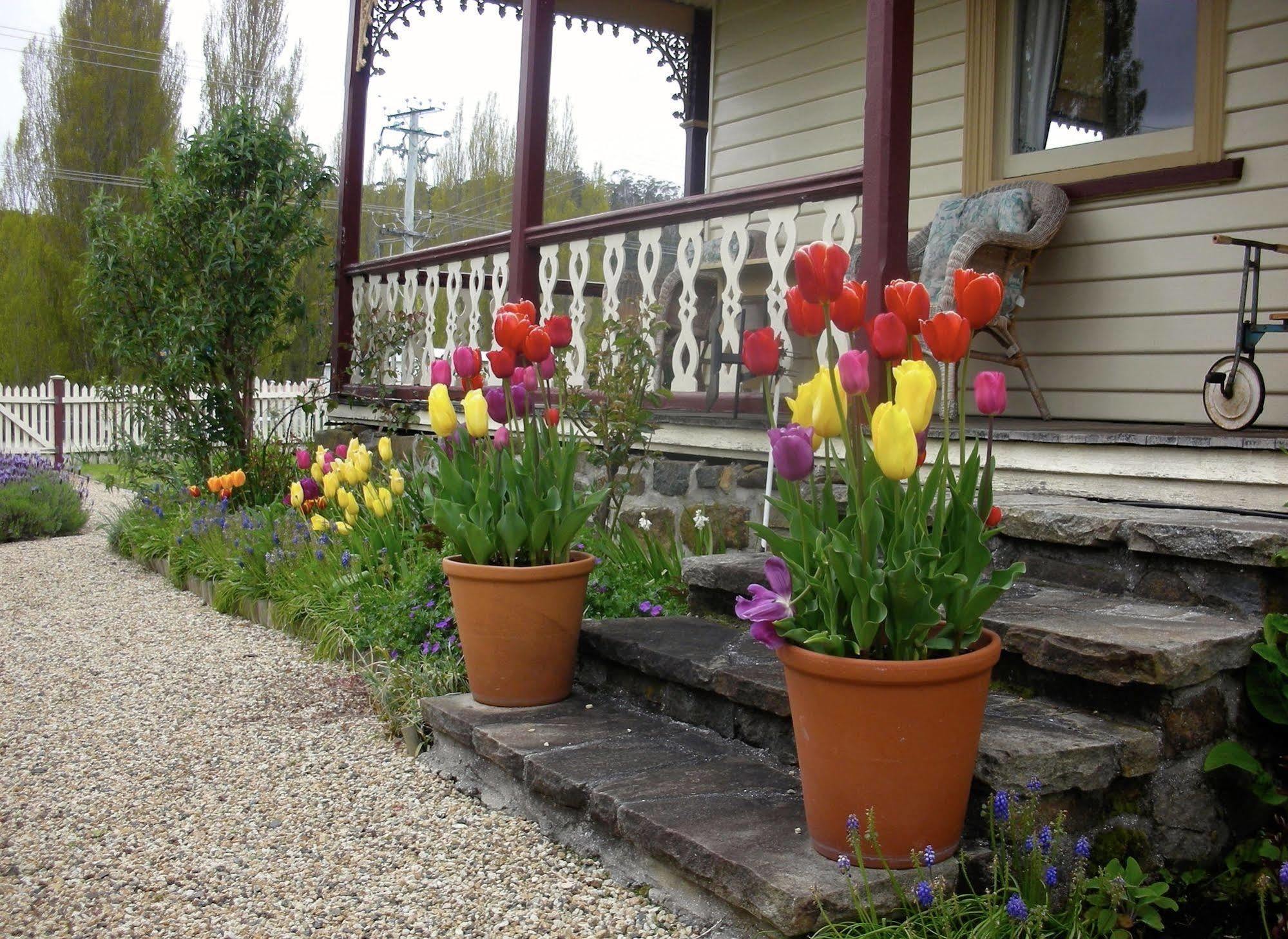 Cambridge House Breakfast & Bed Bed and Breakfast Geeveston Buitenkant foto